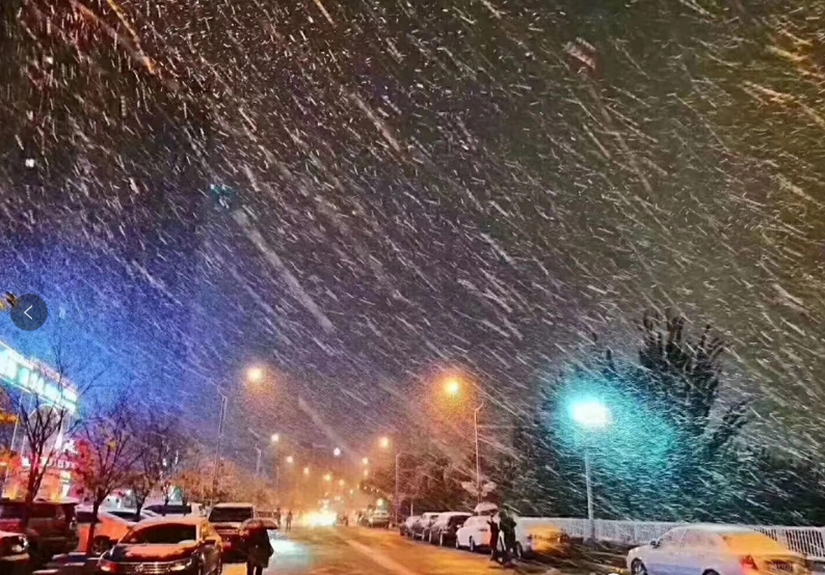 1575449306546819.png 入冬的第一場(chǎng)雪_副本.png