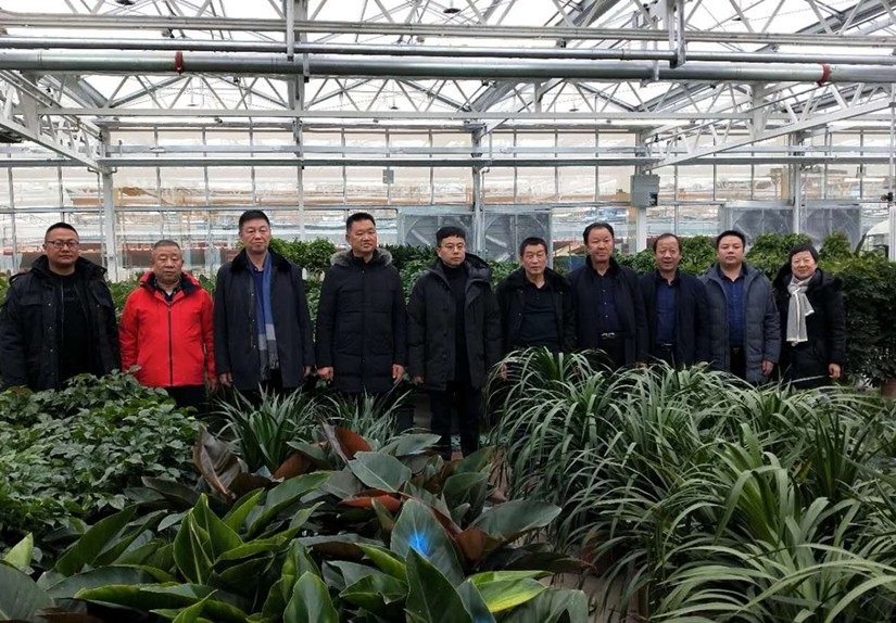 1578905271883827.jpg 圖為:集團(tuán)考核領(lǐng)導(dǎo)小組參觀烏蘇花卉市場(chǎng)_副本_副本.jpg